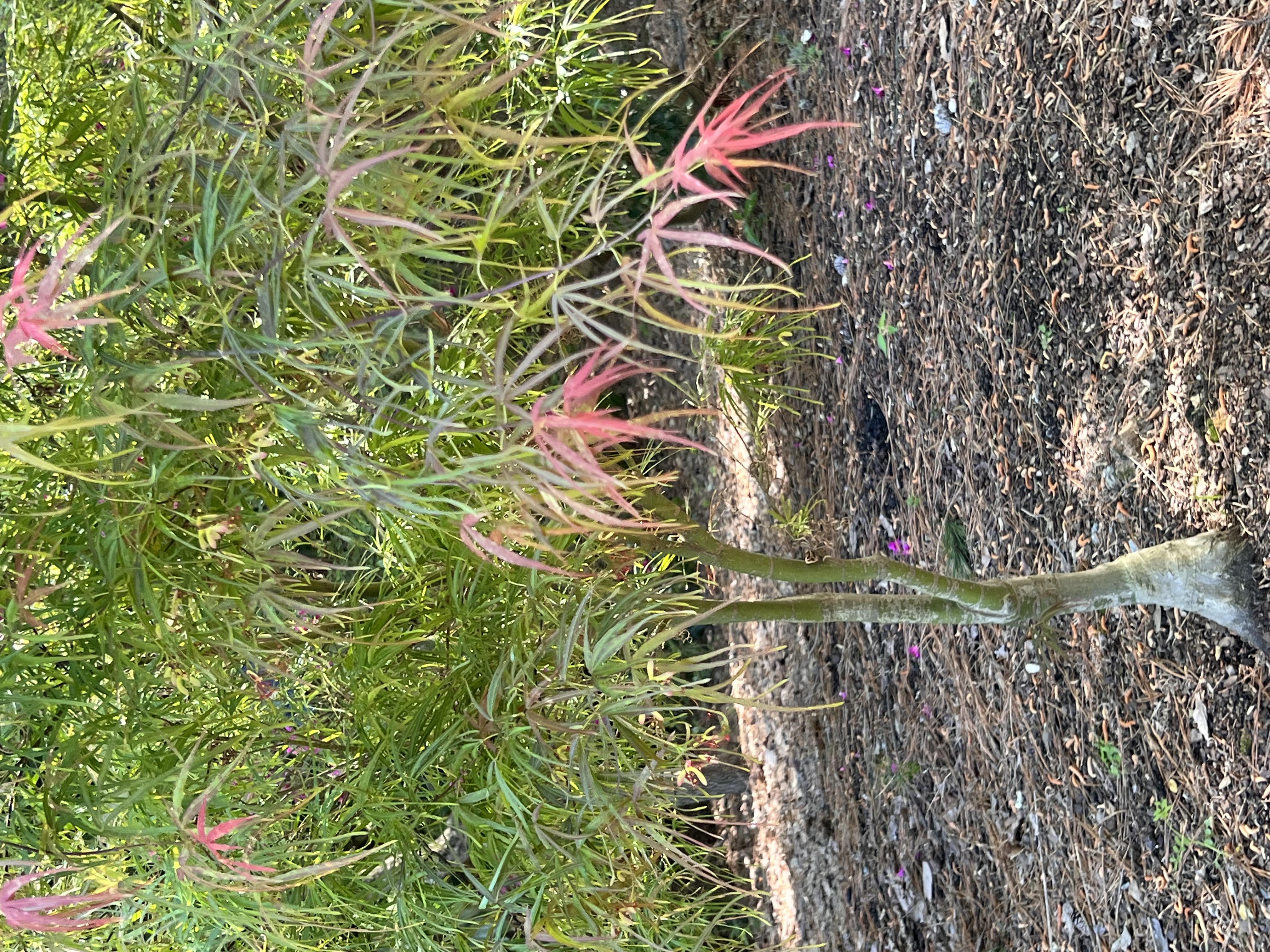 ./2023/05 - Toni Adventures/IMG_3116.JPG